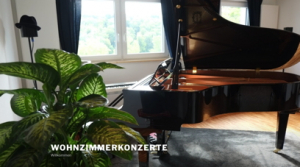 Wohnzimmerkonzerte, Eisingen